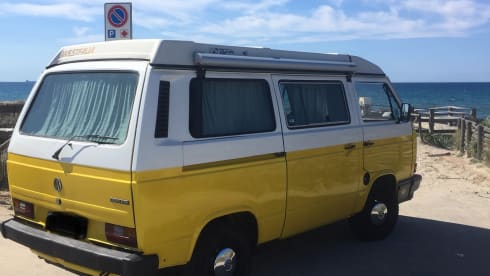 Vintage in freedom - T3 Westfalia