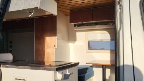 Meddy – 2p Mercedes-Benz bus uit 2009