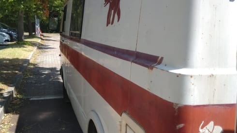 VanNino – A unique experience and a dive into the past? VanNino!