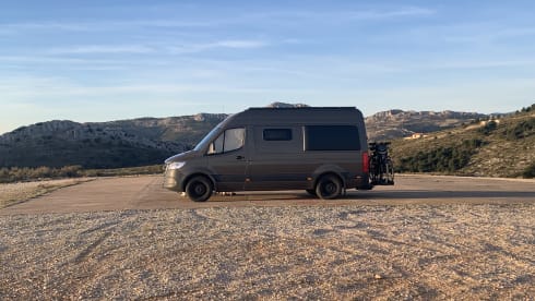 Lizz – 2p Mercedes-Benz bus from 2023