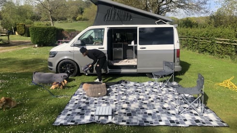 Ivy – Pet friendly VW campervan - MK13 Milton Keynes