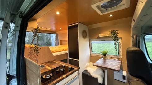 Roadturtle – Bus camper Peugeot for the ultimate holiday