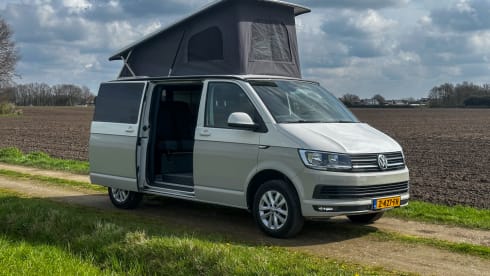 Luxury 5 person Volkswagen Camper