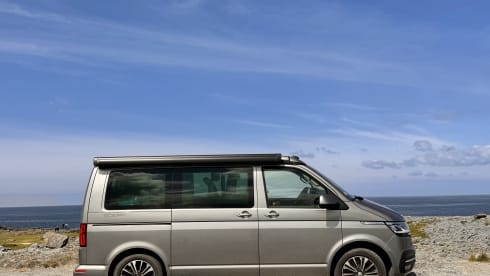 Luxury Volkswagen bus 6.1 California Ocean