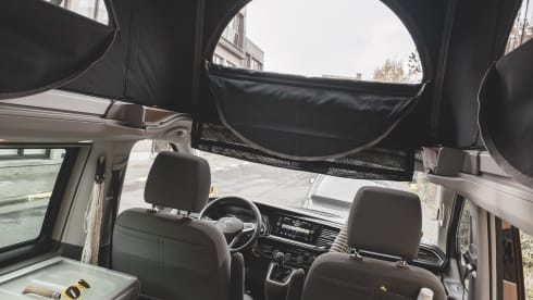 ROSIE – VolkswagenCalifornia 2022