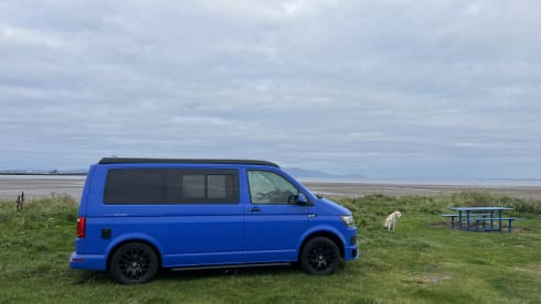 Luther – 4 berth Volkswagen T6 campervan from 2017