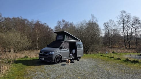 Camper Volkswagen a 4 posti letto dal 2026