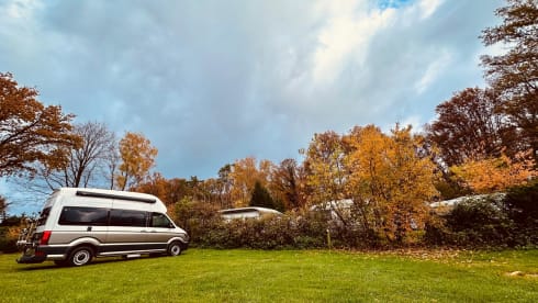 Grote beer – 4p Volkswagen campervan from 2022