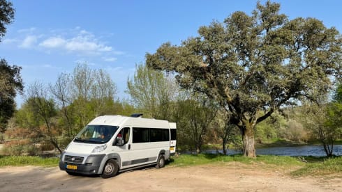 2p Fiat bus from 2012