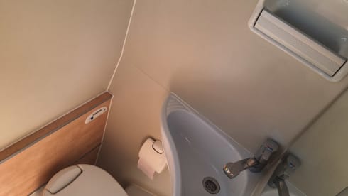 Lenny – 4p Ford bus uit 2009