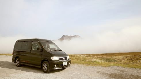 Bongo – Voor alle beginnende bongonauten