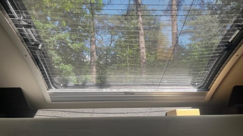 Jenny – 4p Roller Team semi-integrated from 2022