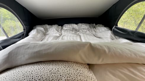 Birdy – New 2022 VW California Coast