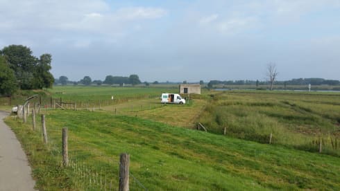 Cozy compact camper where pets are allowed