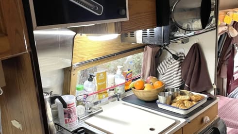 BUSH – American van - 4 seats