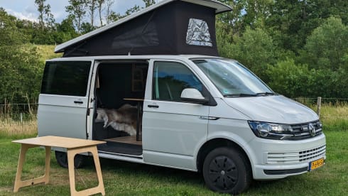 No bad days Van – VW T6 Camper - Pop roof
