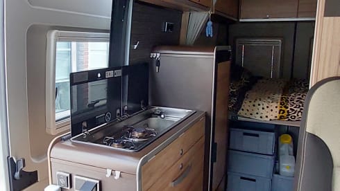 Hammer Grand Canyon bus camper
