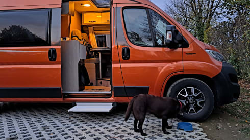 Oranje Puzzel – 2p Pössl bus from 2019