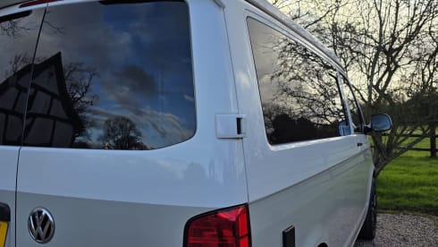 'Cow' Parsley – VW-Campingbus mit 4 Schlafplätzen