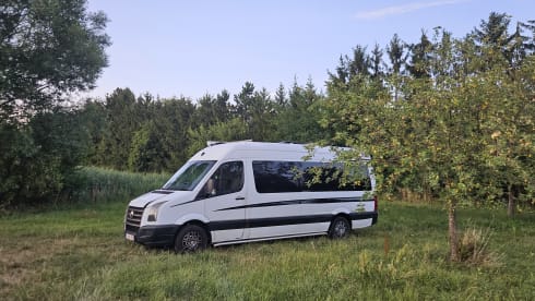 Ziggy – Dreisitziger Volkswagen-Bus aus dem Jahr 2009