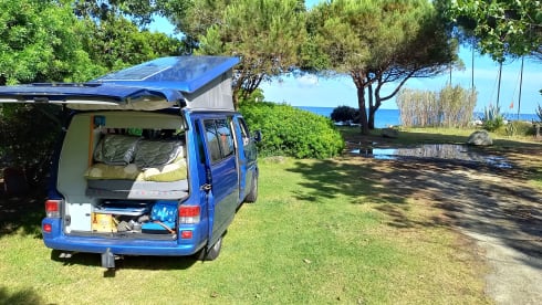 Smurf – 4p Volkswagen bus from 2001