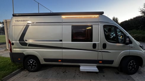4p Fiat bus from 2018