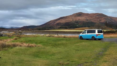 Ozzie – Camper Blue North – VW Transporter