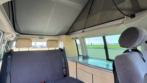 bear hunter – 4p Volkswagen California T5 bus 