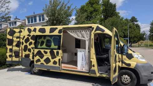 Kirin-Chan – 🦒 Nice unique giraffe camper 🦒
