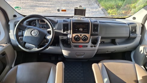 Bear on the road – 7p Bürstner alcove from 2011