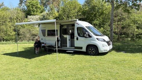 2p Fiat bus from 2020