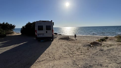 Ranger – New possl summit, bus camper of the year, with skyroof!