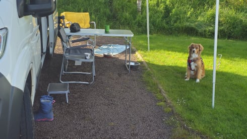 The Rina – 2 Berth Campervan - pet friendly