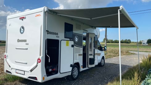 Benimar cocoon 488 2022