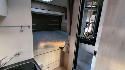 Susi 🦠– Challenger VIP C194