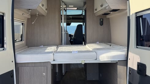 Chausson – 2p Fiat bus from 2019