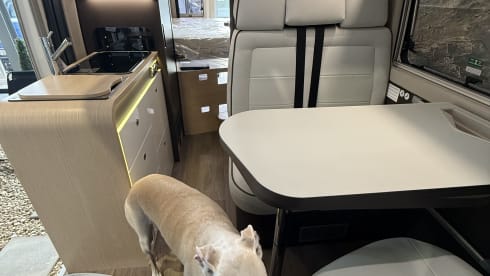 2p Fiat bus from 2026