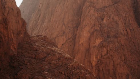 Fiat 4 person alcove camper