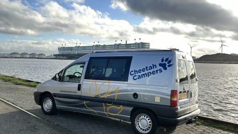 Cheetah – Cheetah 2 person Fiat Scudo bus camper