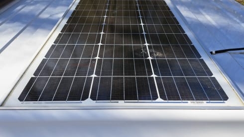 2p Fiat bus from 2020