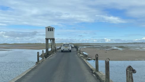 Bamboo Buck – Hashtagcampeurs 