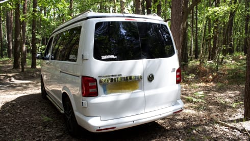 Loretta – Loretta VW T6 Campervan, Pop top roof 4 berth (5 seater).