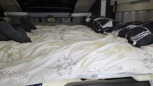 4 berth Roller Team semi-integrated from 2025