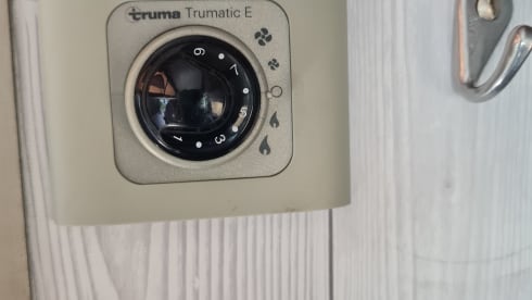 Big Al – Big Al, VW Campmobile, super cozy