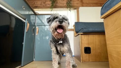 Zack  – 2-Bett-Ford-Bus von 2010