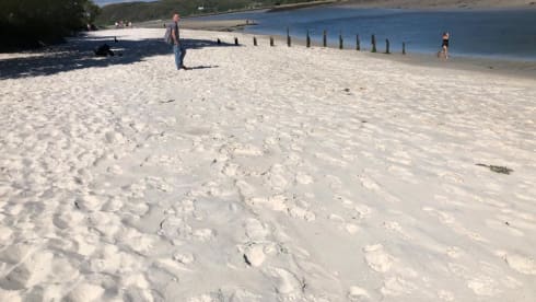 Bamboo Buck – Hashtagcampeurs 