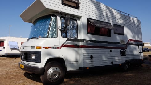 Dolores – Führerschein c1 - Machen Sie Ihren Auftritt mit unseren coolen Dolores!