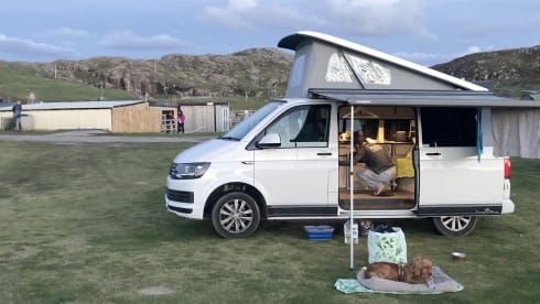 Petunia – Petunia the Campervan