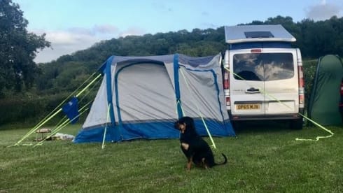 Trevor – Camper Renault a 4 posti letto (2016)