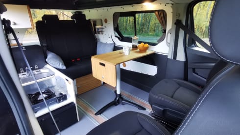 WAIKATO – Renault Trafic 3 2023 - 5 Sitze - Bayonne